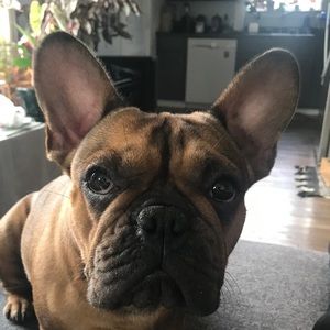 Meet your Posher, Micah